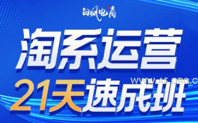 白凤电商·淘系运营21天速成班(更新8月)-小红泡