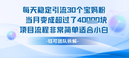 每天稳定引流30个人 当月变成超过了4个W项目流程非常简单适合小白-A5资源网