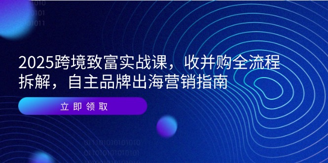 2025跨境致富实战课,收并购全流程拆解,自主品牌出海营销指南-A5资源网
