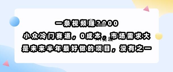 一条视频挣1k,小众冷门赛道,0成本,市场需求大,是未来半年最好做的项目,没有之一-A5资源网