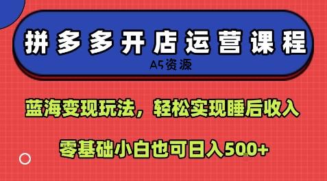 拼多多开店运营课程:蓝海变现玩法,轻松实现睡后收入,零基础小白也可日入5张-A5资源网