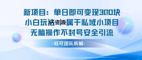 新项目单日即可变现3张的小白玩法无脑操作不封号安全引流-A5资源网