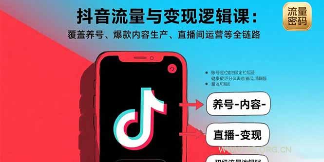抖音流量与变现逻辑课:覆盖养号、爆款内容生产、直播间运营等全链路-A5资源网