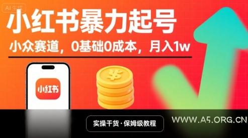 小红书暴力起号,小众赛道,0基础0成本,月入1w-A5资源网