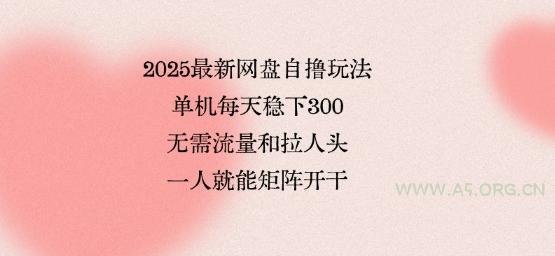 2025最新网盘自撸玩法,单机每天稳下3张,无需流量和拉人头,一个人就可轻松矩阵,全网独一份【揭秘】-A5资源网