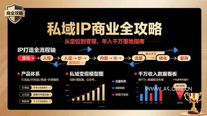 私域IP商业全攻略,从定位到变现,年入千万落地指南-A5资源网
