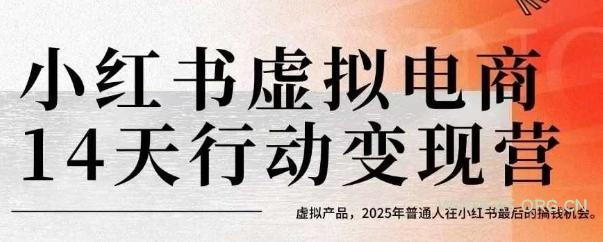 小红书虚拟电商14天变现训练营,虚拟产品,2025年普通人在小红书最后的搞钱机会(更新)-A5资源网