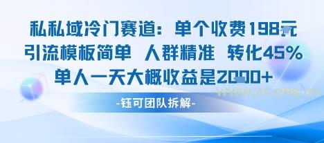 私域冷门赛道单个收费198米引流模板简单人群精准 45%的转化率单人一天大概收益多张-A5资源网