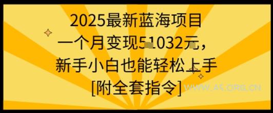 2025最新蓝海项目一个月变现1w+新手小白也能轻松上手【附全套指令】-A5资源网