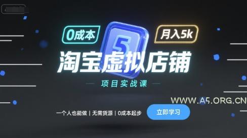 淘宝虚拟店铺项目实战课，一个人也能做，无需货源、0成本起步，月入5k-A5资源网