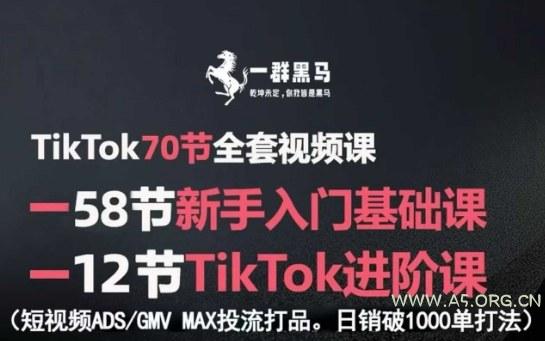 TikTok全套视频课,新手入门+进阶课,短视频ADS-GMV MAX投流打品,日销破1000单打法-A5资源网