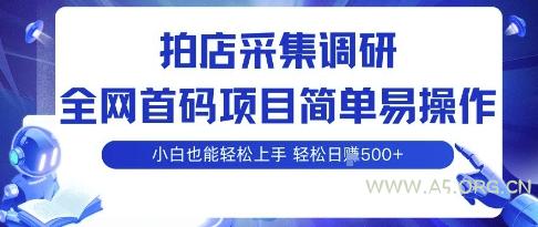 拍店采集调研,全网首码项目,简单易操作, 小白也能轻松上手,多账号操作,轻松日入5张【揭秘】-A5资源网