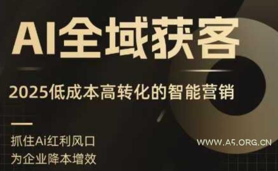 AI全域获客实训营,2025低成本高转化的智能营销,精准找客,高效营销-A5资源网