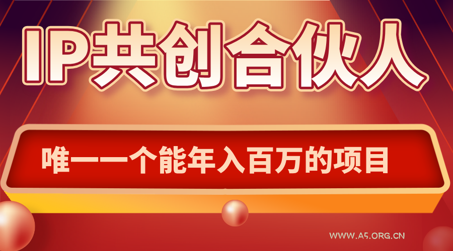如何通过IP共创合伙人一起合伙“卖项目”-A5资源网