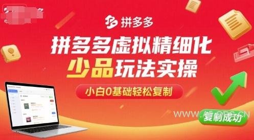 拼多多虚拟精细化少品玩法实操,小白0基础轻松复制-A5资源网