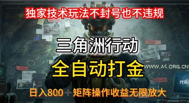 三角洲板砖揭秘项目免费送卡密-A5资源网