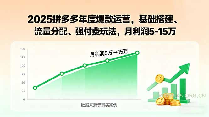 2025拼多多年度爆款运营,基础搭建、流量分配、强付费玩法,月利润5-15万-A5资源网