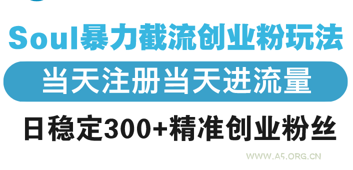 Soul暴力截流创业粉玩法,当天注册当天进流量,日稳定300+精准创业粉丝-A5资源网