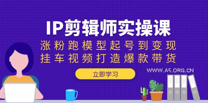 IP剪辑师实操课:涨粉跑模型起号到变现,挂车视频打造爆款带货-A5资源网