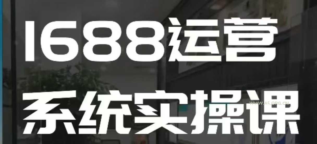 1688高阶运营系统实操课,快速掌握1688店铺运营的核心玩法-A5资源网
