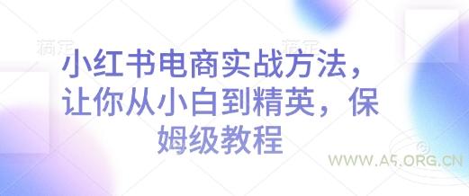 小红书电商实战方法,让你从小白到精英,保姆级教程-A5资源网