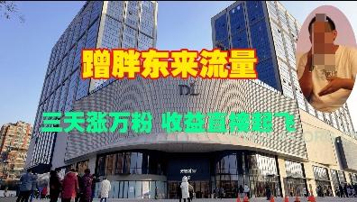 蹭胖东来流量,三天涨万粉,收益直接起飞-A5资源网