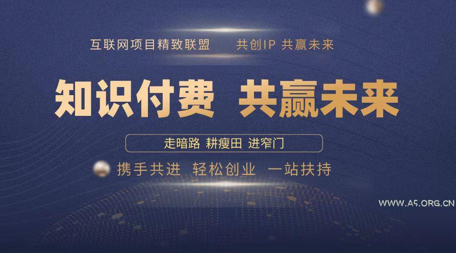 2025年 如何通过 “知识付费” 卖项目月入十万、年入百万,布局2025与…-A5资源网