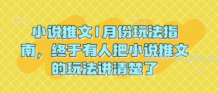 小说推文1月份玩法指南,终于有人把小说推文的玩法讲清楚了!-A5资源网
