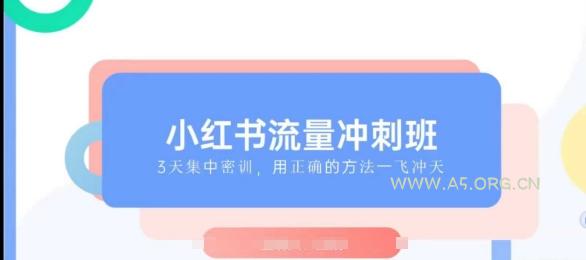小红书流量冲刺班2025,最懂小红书的女人,快速教你2025年入局小红书-A5资源网