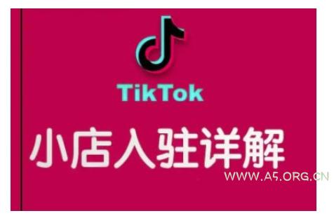TikTok跨境小店运营全攻略,帮助你独立运营TK跨境小店的能力,实现销量增长-A5资源网