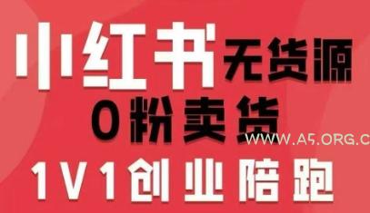 小红书无货源0粉电商课,开店准备、选品策略、笔记撰写、视频剪辑、数据分析、账号打造、资料文档-A5资源网