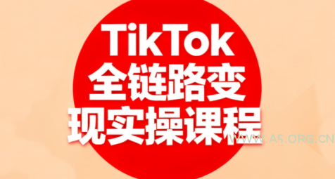 小杨老师·TikTok全链路变现实操课程-A5资源网