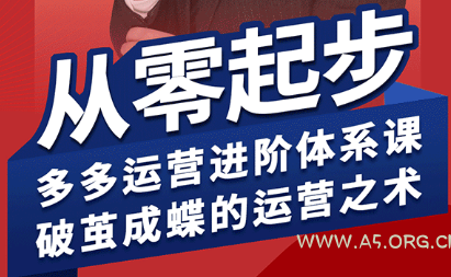 海神·拼多多运营进阶系统课(更新9月)-A5资源网