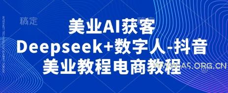 美业AI获客Deepseek+数字人-抖音美业教程电商教程-A5资源网