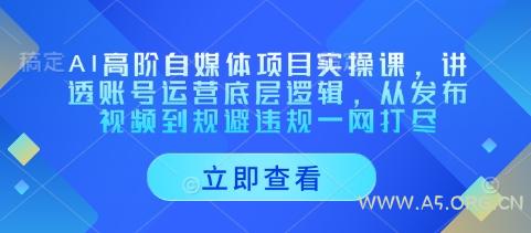 AI高阶自媒体项目实操课,讲透账号运营底层逻辑,从发布视频到规避违规一网打尽-A5资源网
