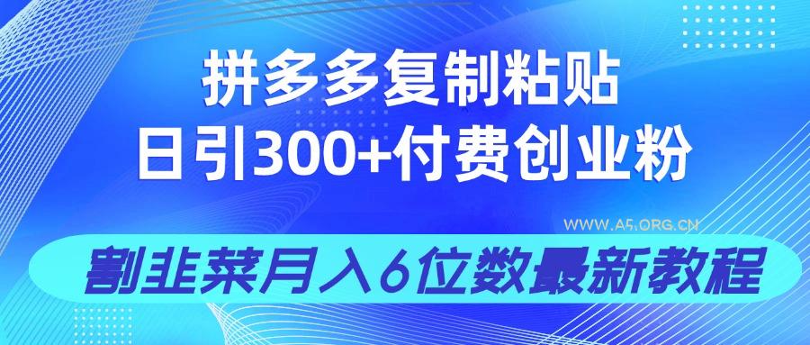 拼多多复制粘贴日引300+付费创业粉,割韭菜月入6位数最新教程!-A5资源网