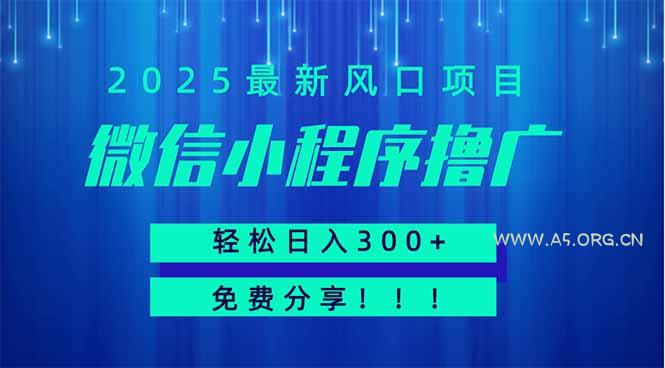 微信小程序撸广,最新风口项目,日入300+ 免费分享 可批量操作 小白可…-A5资源网