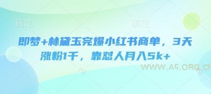 即梦+林黛玉完爆小红书商单,3天涨粉1千,靠怼人月入5k+-A5资源网