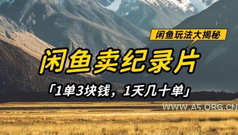 闲鱼卖纪录片1单3块钱,1天几十单,项目稳定有潜力-A5资源网