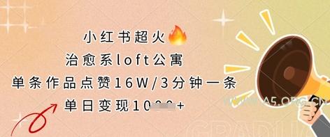小红书超火的治愈系loft公寓,单条作品点赞16W,3分钟一条,单日变现数张-A5资源网