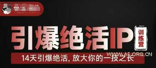 引爆绝活IP训练营,14天引爆绝活,放大你的一技之长-A5资源网