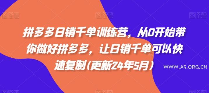 拼多多日销千单训练营,从0开始带你做好拼多多,让日销千单可以快速复制(更新25年6月)-A5资源网