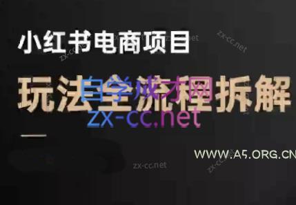 菲菲老师·小红书电商玩法(更新7月)-A5资源网