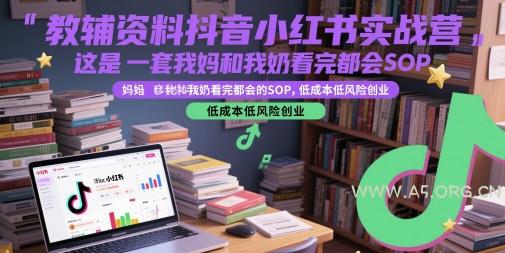 教辅资料抖音小红书实战营,这是一套我妈和我奶看完都会的SOP,低成本低风险创业(更新)-A5资源网