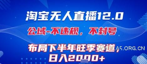 淘宝无人直播12.0,不封号,不违规,布局下半年旺季赛道,日入1k+(独家技术)【揭秘】-A5资源网
