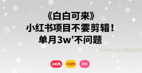 小白可来 小红书项目不需要剪辑 单月3w不是问题-A5资源网