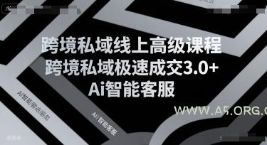 跨境私域线上高级课程,跨境私域极速成交3.0+Ai智能客服-A5资源网