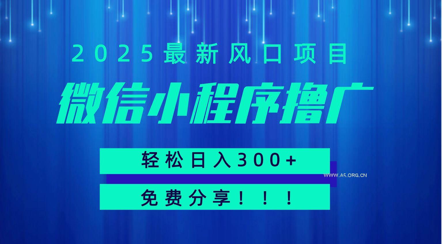 微信小程序撸广,最新风口项目,日入300+ 免费分享 可批量操作 小白可轻松上手!!-A5资源网