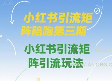 小红书引流矩阵陪跑第三期,小红书引流矩阵引流玩法-A5资源网