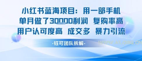 小红书蓝海项目,一部手机单月做了3W利润,小白也能月入过1W用户认可度高成交多-A5资源网
